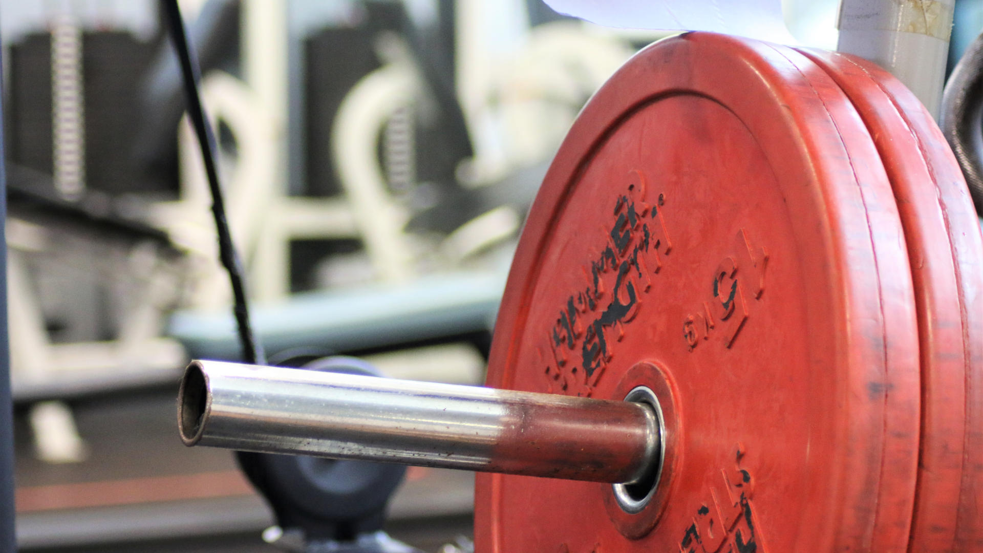 Full set of weights