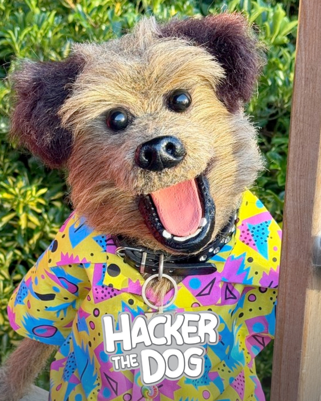 Hacker The Dog
